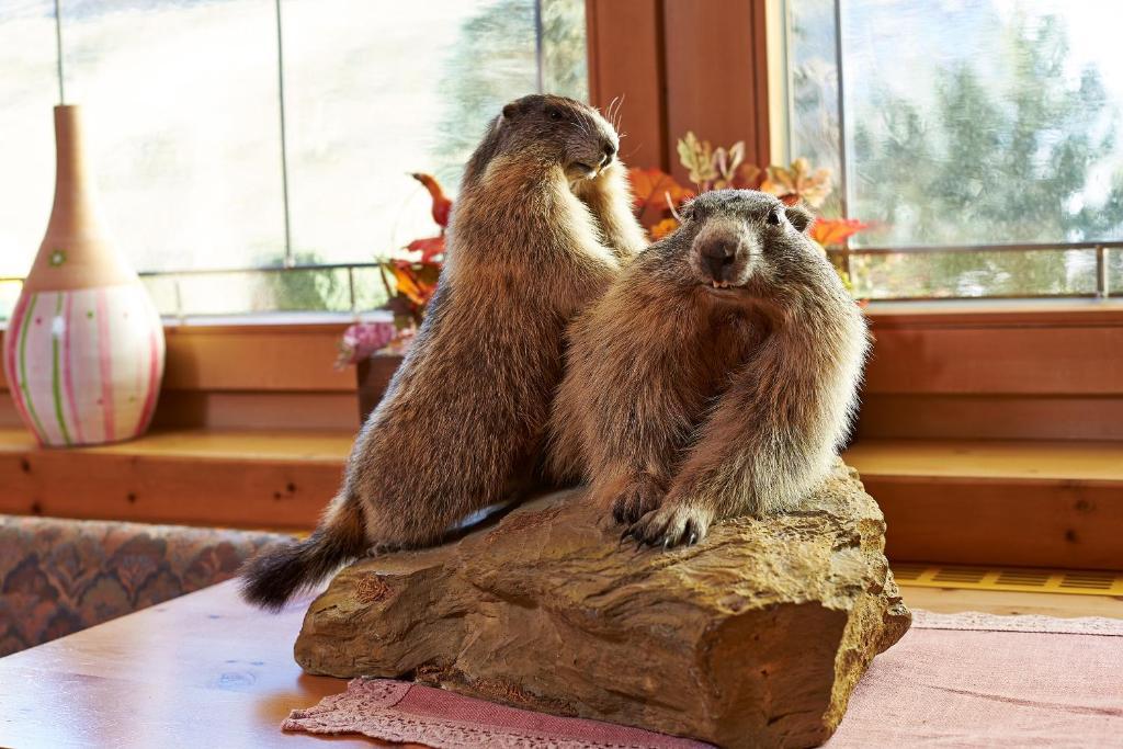 Fremdenpension Alpenruhe Sölden Cameră foto